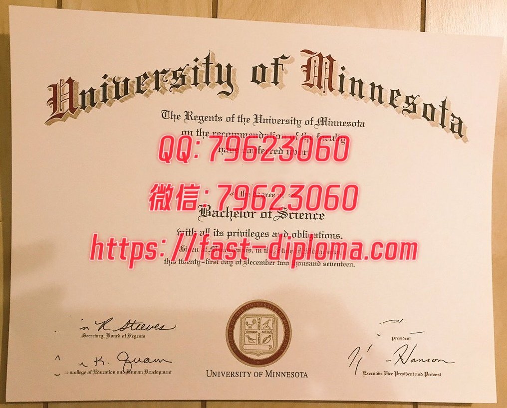 139 明尼苏达大学罗切斯特分校毕业证成绩单