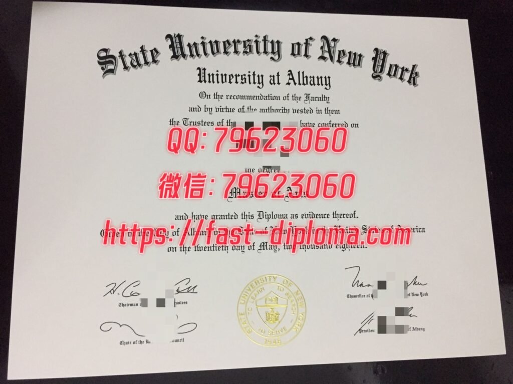 156 纽约奥尔巴尼大学毕业证成绩单