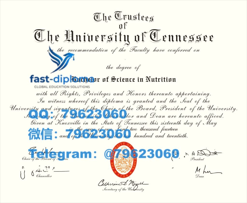 174 the university of tennessee knoxville diploma