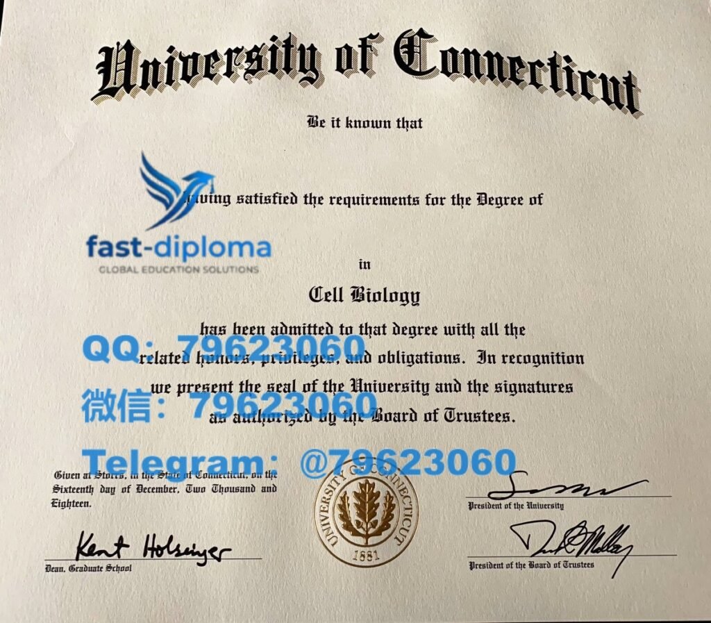 185 university of connecticut diploma