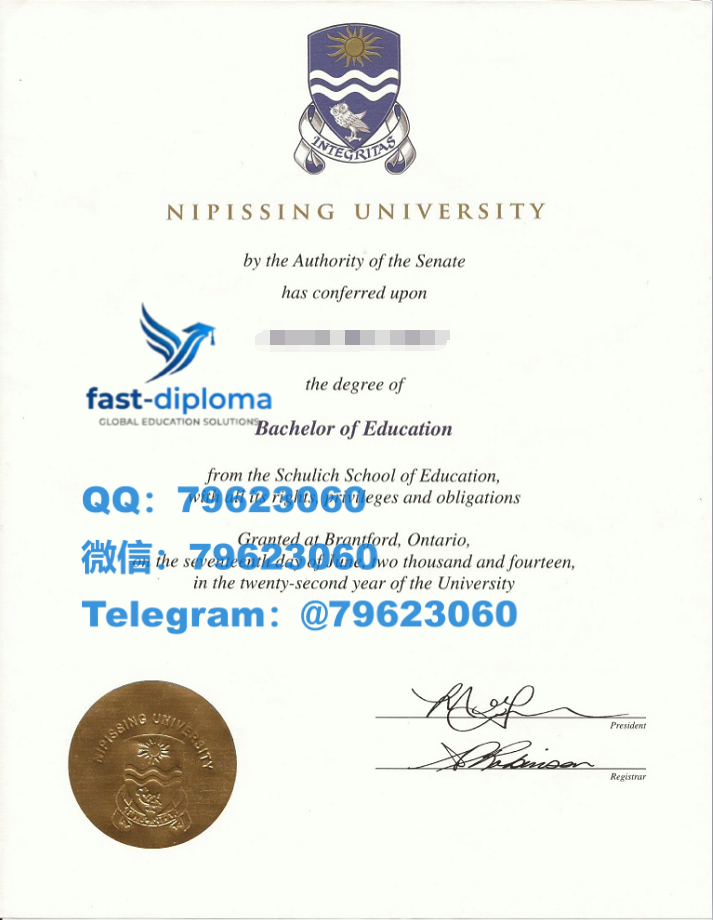 260nipissing university diploma