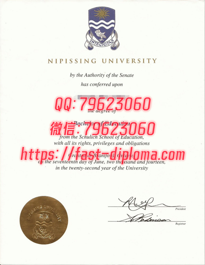260尼皮辛大学毕业证成绩单