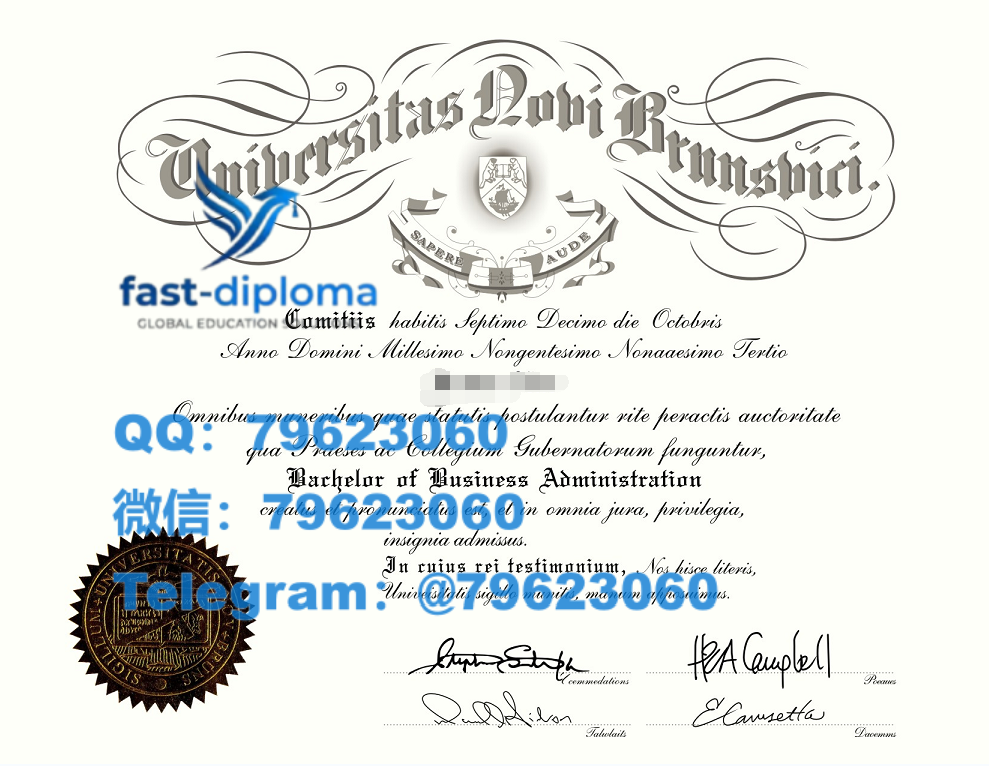 297university of new brunswick diploma