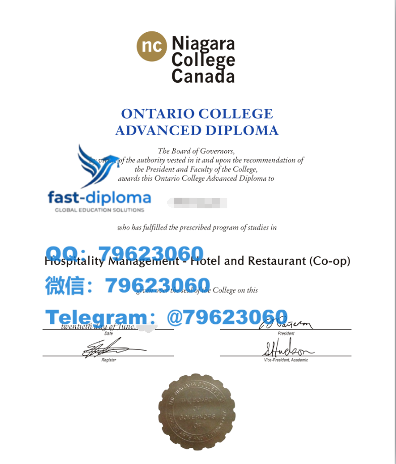 305niagara college diploma