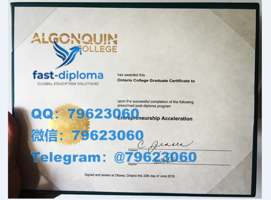 309algonquin college diploma