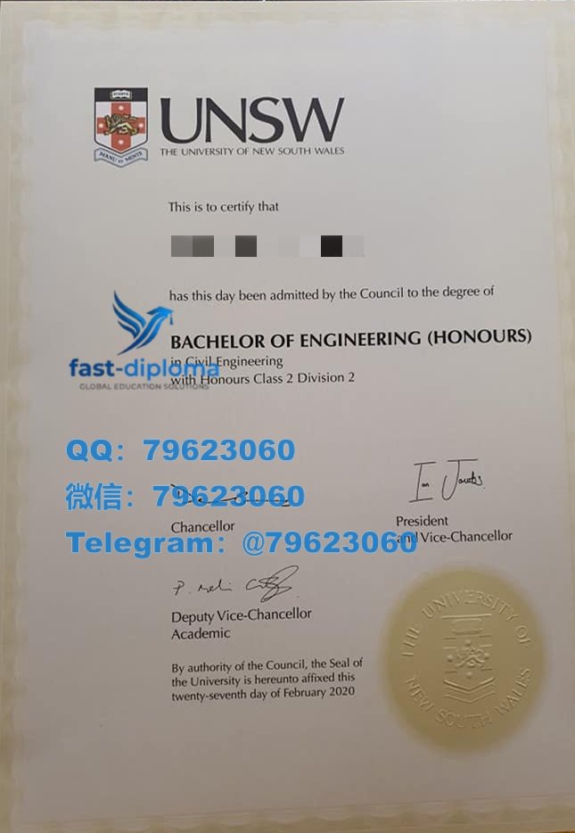 316university of new south wales diploma