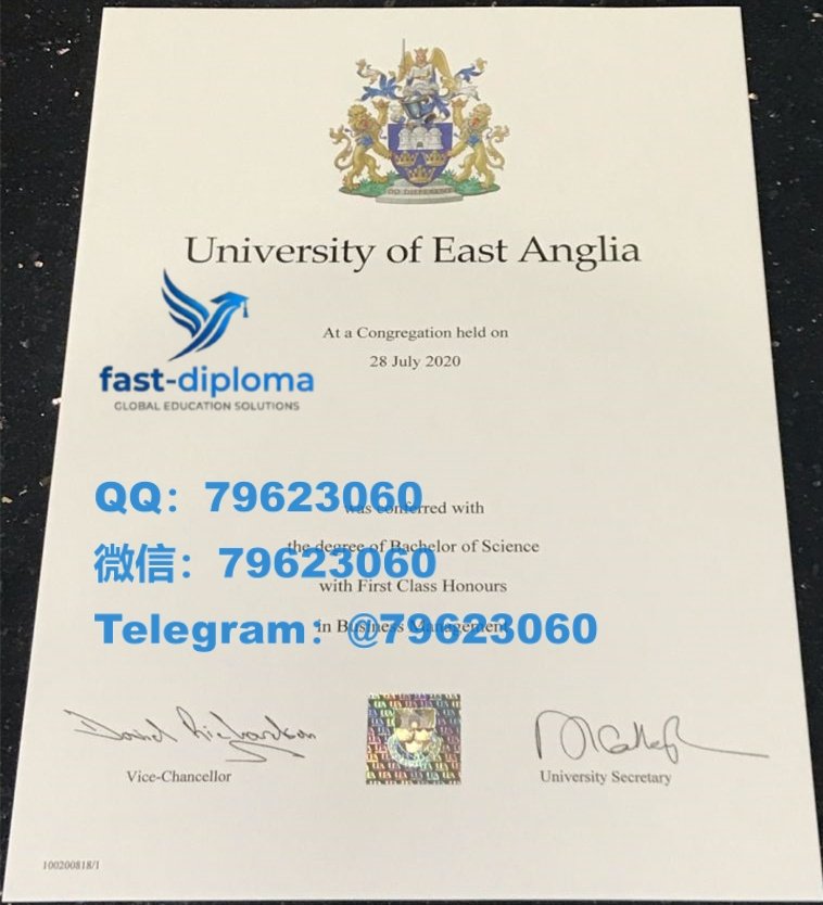 370university of east anglia diploma