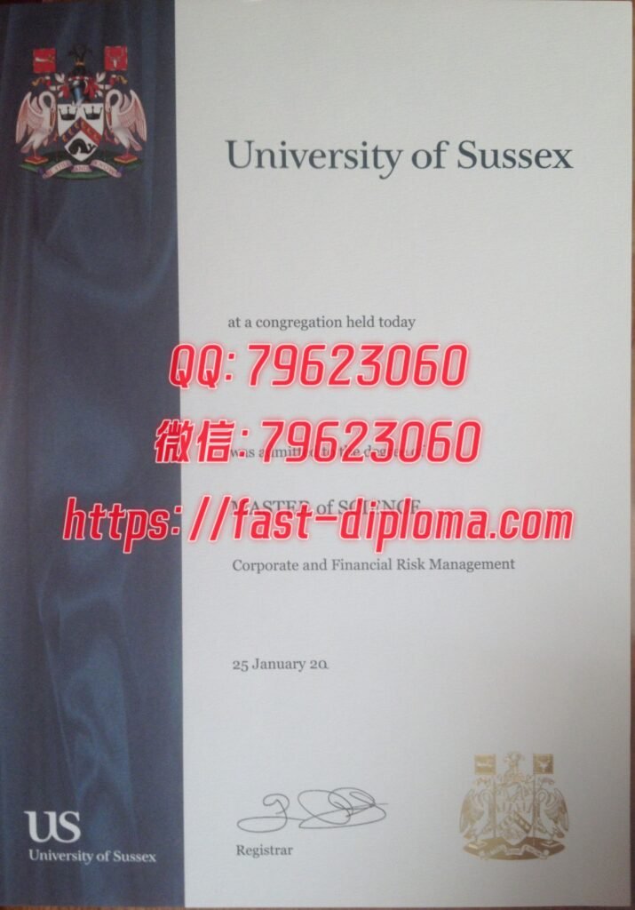 399萨塞克斯大学 715x1024