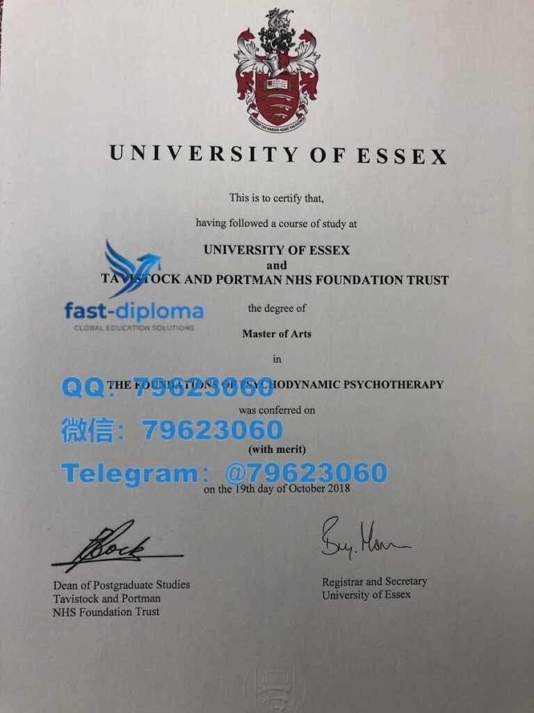 401university of essex diploma