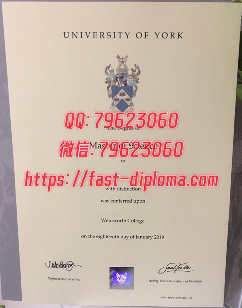 404约克大学