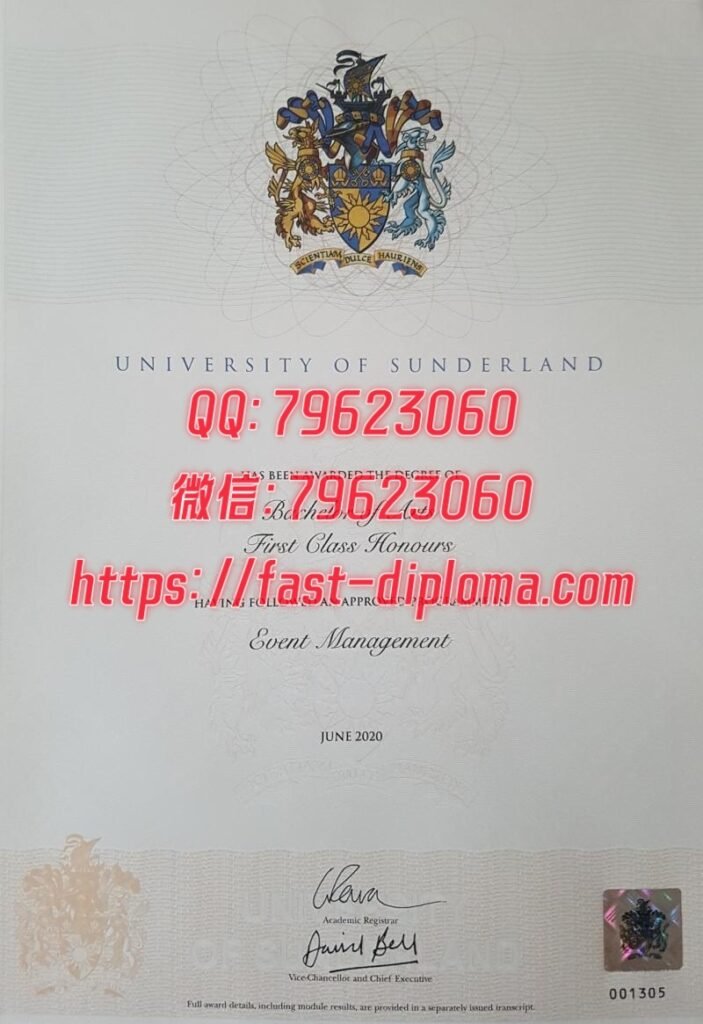 409桑德兰大学 703x1024